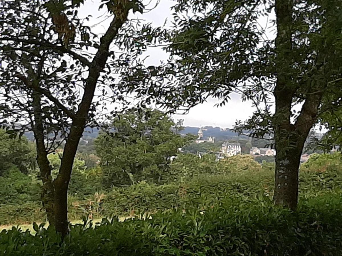 La Palatine Chambre Chez L Habitant A 20 Mn De Rodez Calmont  Kültér fotó